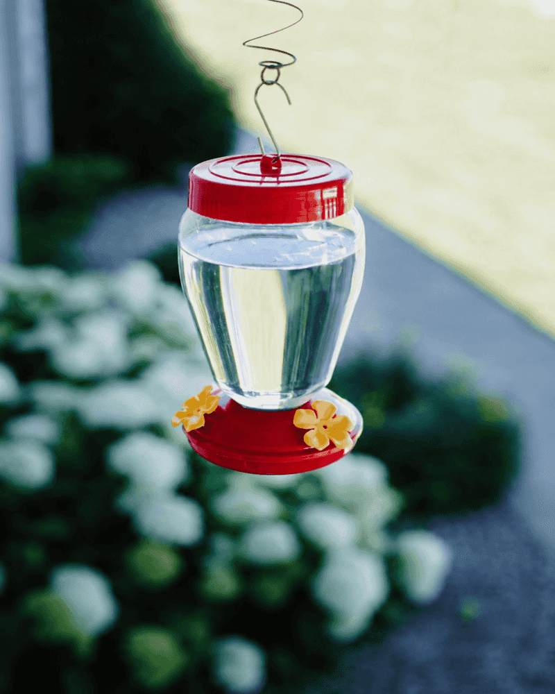A clean feeder offers supplemental food