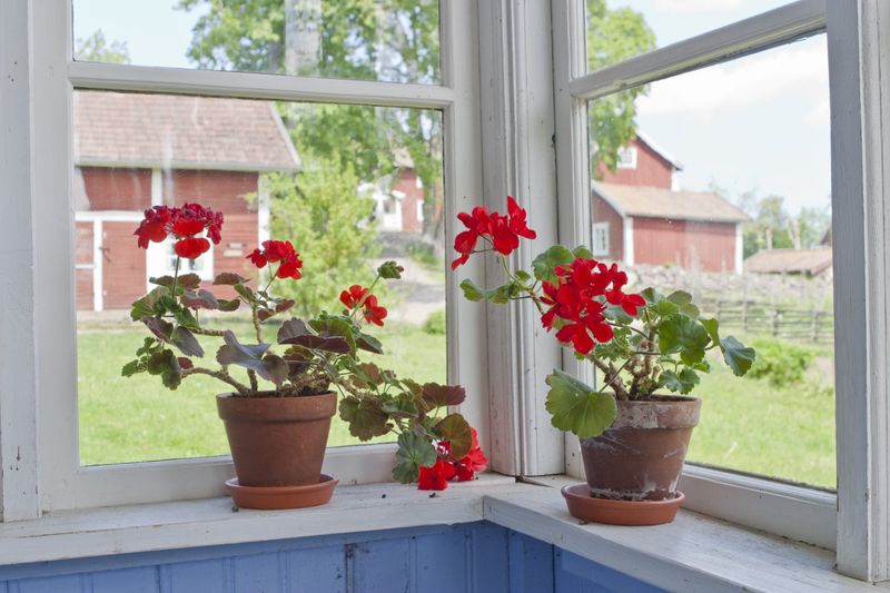 Choose Your Overwintering Method