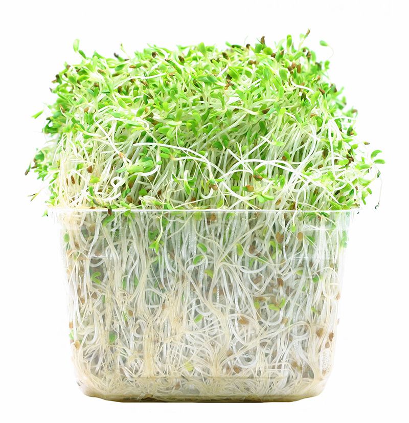 Raw Sprouts
