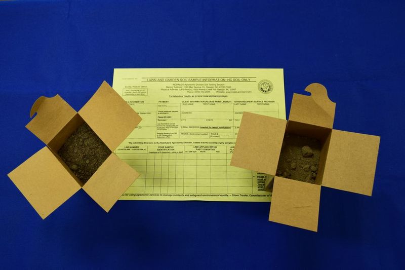 Use a soil test for chemical fertility questions