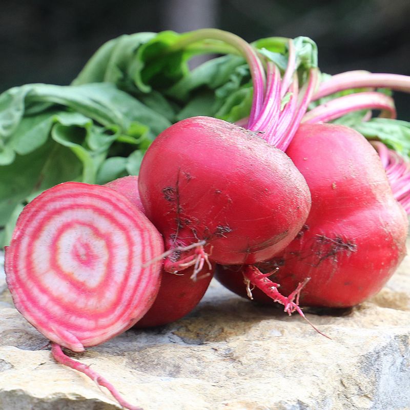 Pick a Proven Variety