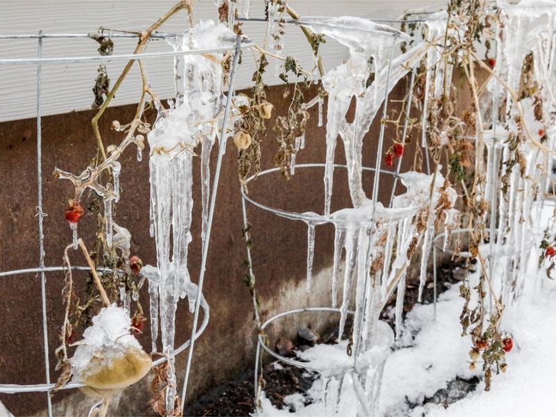 Cold Temperatures