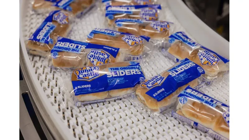 Frozen Sliders Built A Second Home