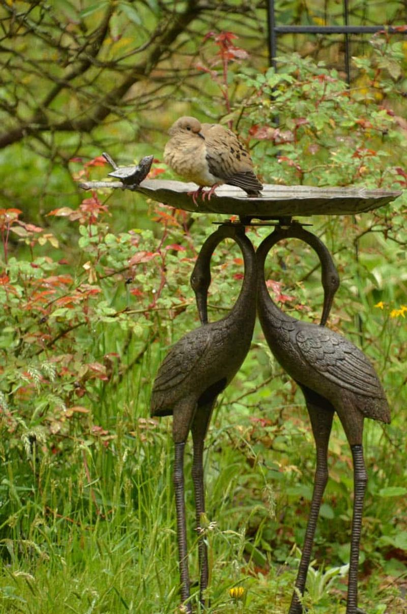 Place the birdbath near cover, not inside it