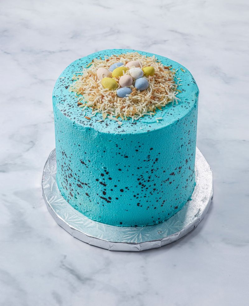 Speckled Robin's Egg Cake