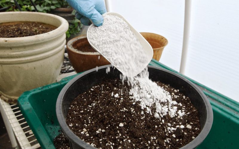 Ensure Good Soil Drainage