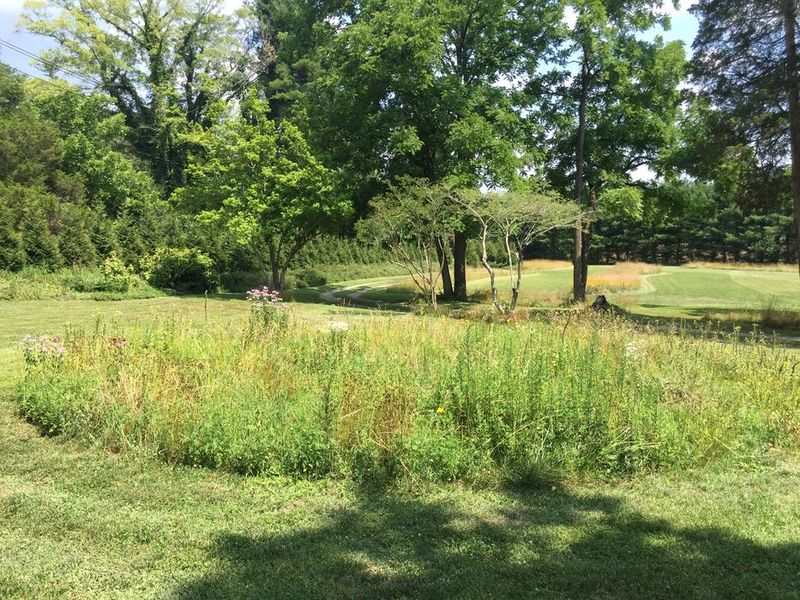 Establishment takes visible, ongoing maintenance