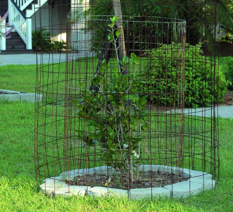 Protect the garden without drawing deer closer