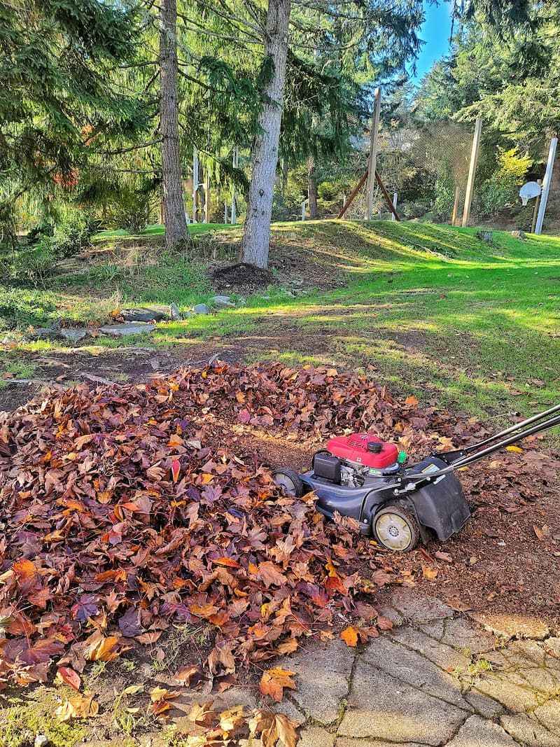Shred leaves for a more manageable layer
