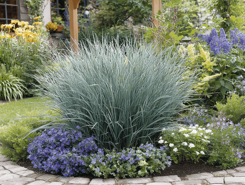 Choose Little Bluestem Only If the Site Fits