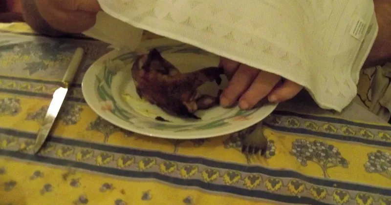 Ortolan (France, traditionally)