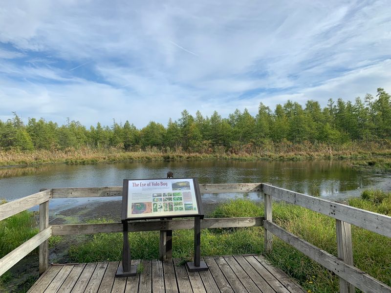 Volo Bog is Illinois's only open-water quaking bog
