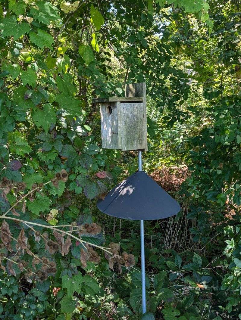 A Nest Box Needs Its Own Safety Plan