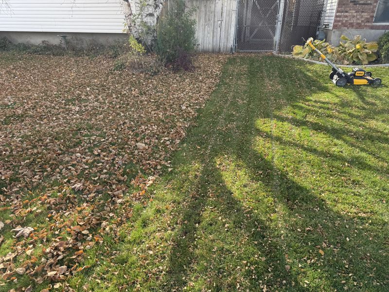 Use the lawn, not a fixed percentage, as your guide