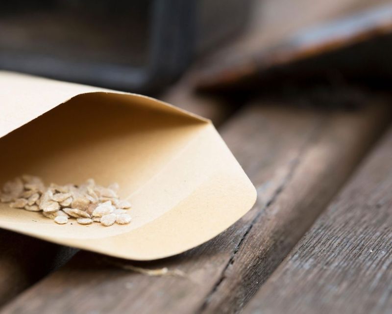 Store the Dried Seeds