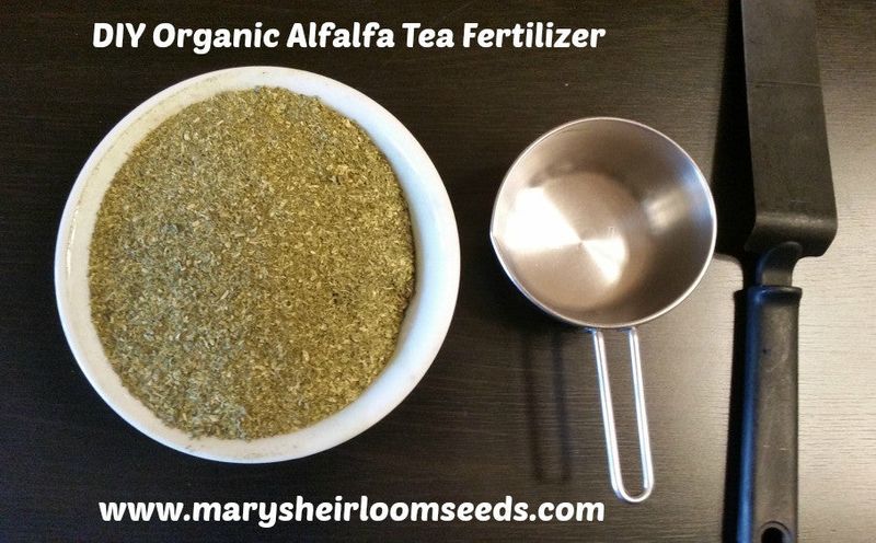 Alfalfa Meal