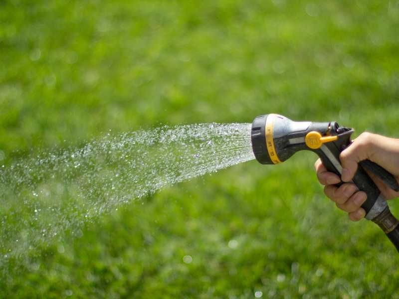 Water Lightly and Often
