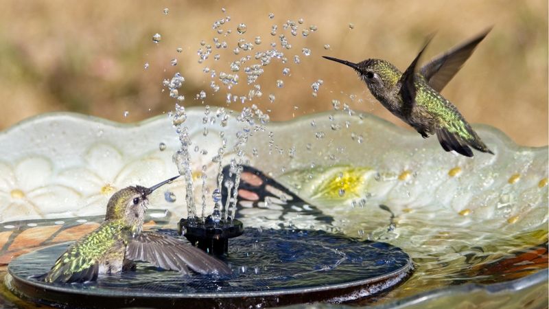 Absence of Moving Water Sources