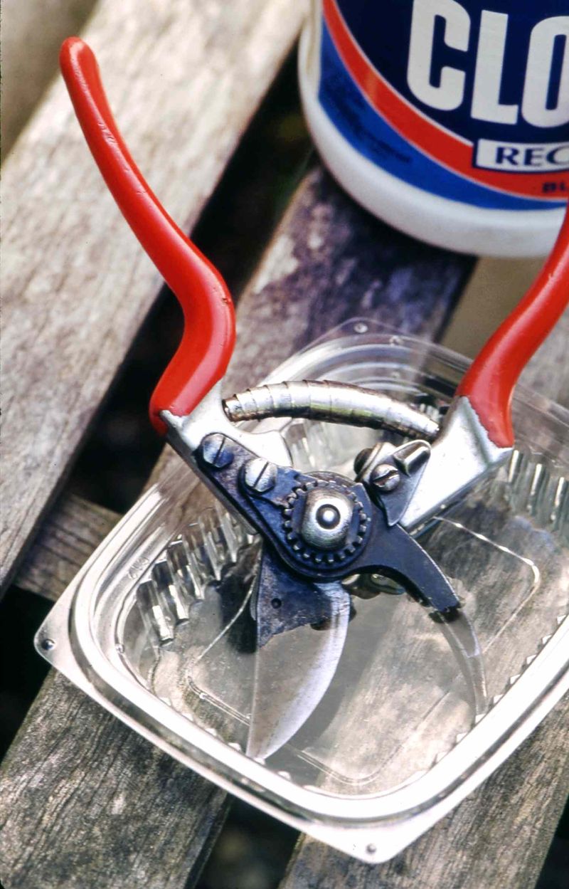 Pruning With Dirty Tools