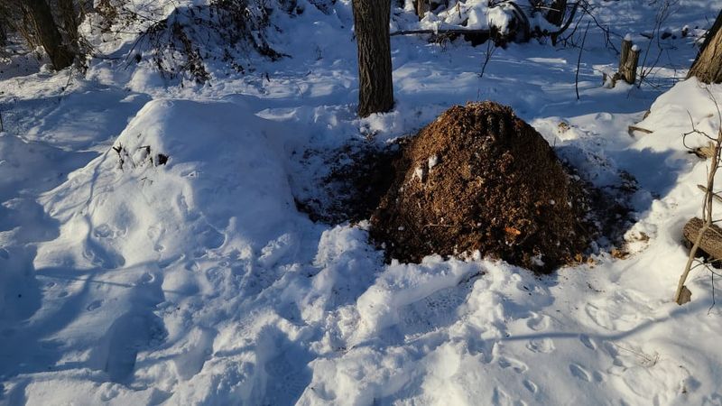 Change the routine when the pile freezes