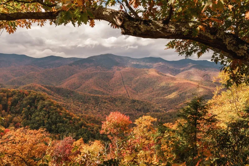 Thanksgiving is a prompt, not a statewide deadline