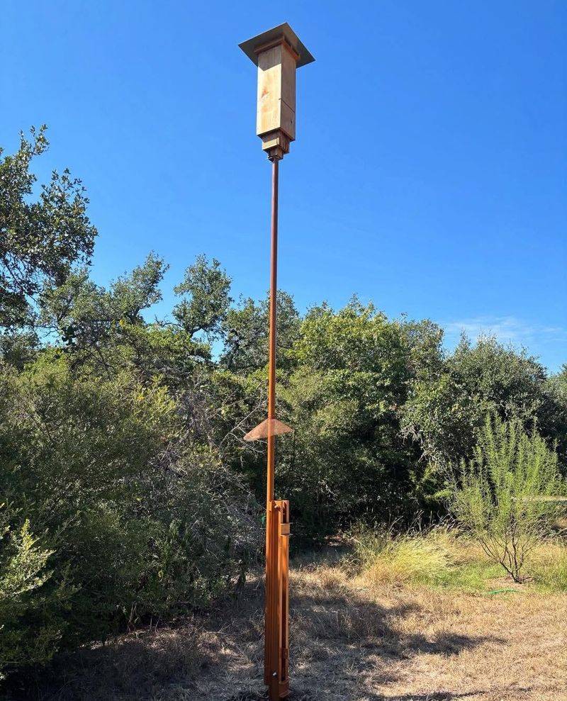 Dark routes help more broadly than bright lights or a guaranteed bat house