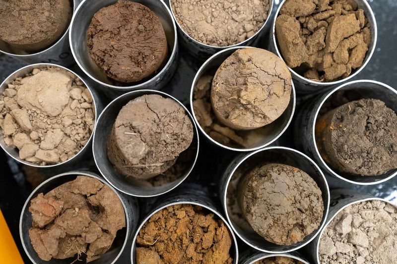 Ask whether your soil test includes zinc