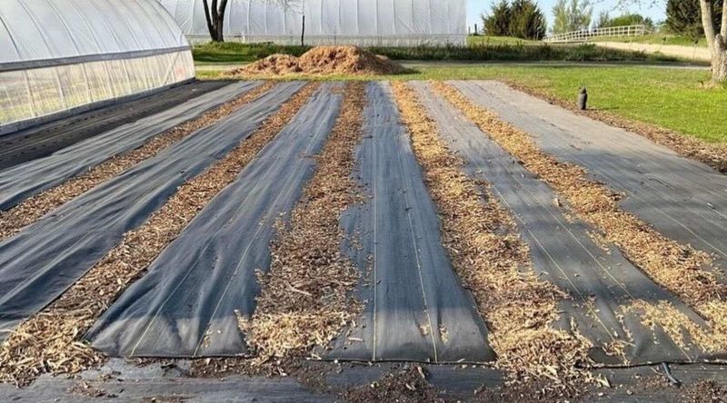 What a North Carolina growing season can—and cannot—prove