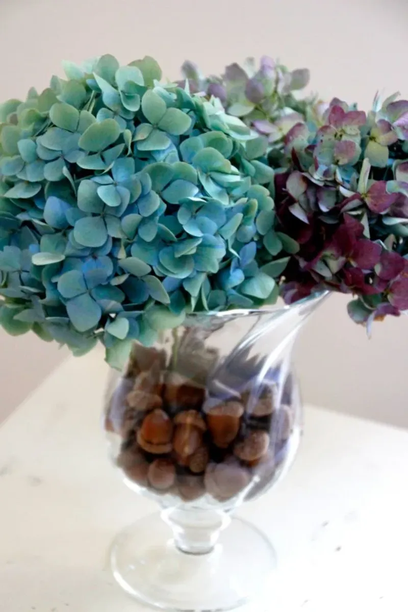 Anchors for Cut Flower Arrangements