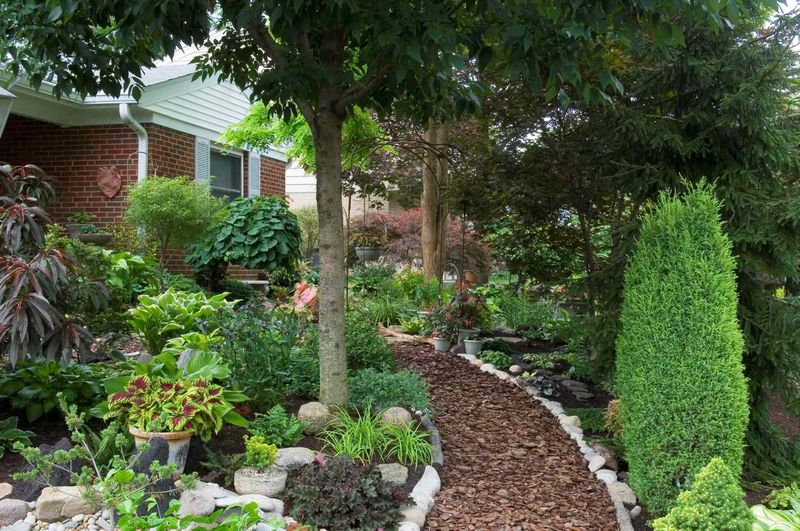 Wood chips work when the path stays relatively flat