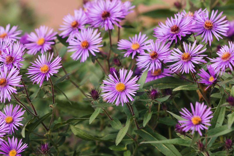 Plan the seasonal fix instead of forcing a late rescue