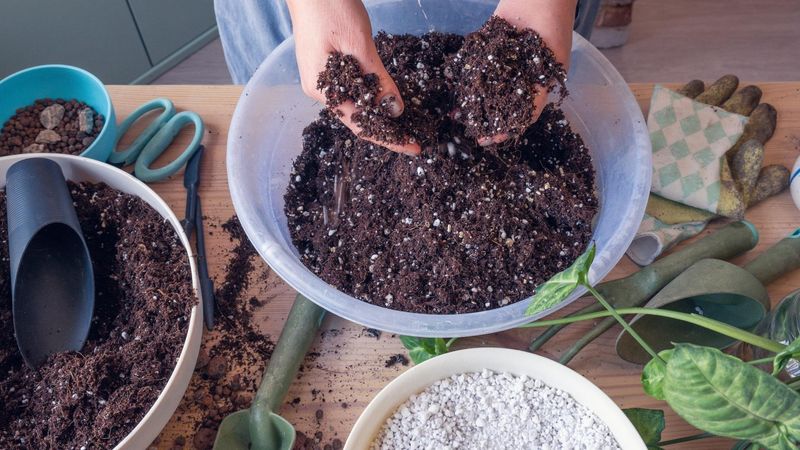 Prepare a High-Quality Potting Mix