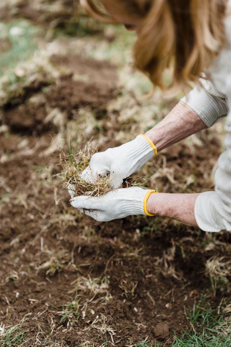 Remove Existing Crabgrass Before Seeds Spread