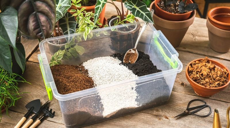 Poor Soil Quality