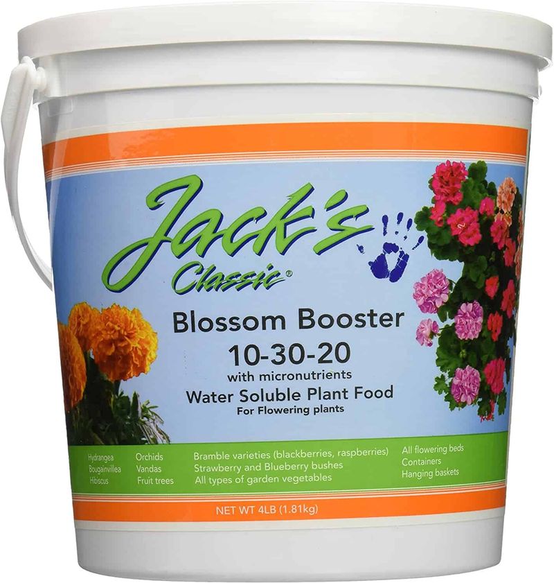 Lightly Fertilize with a Bloom-Boosting Formula