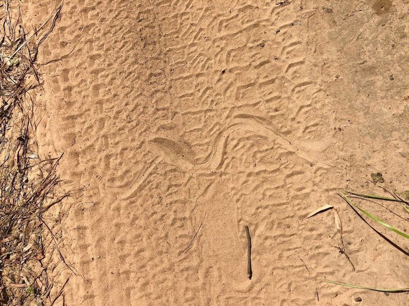 Slither Tracks