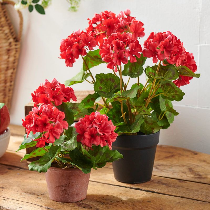 Choose the Right-Sized Pot