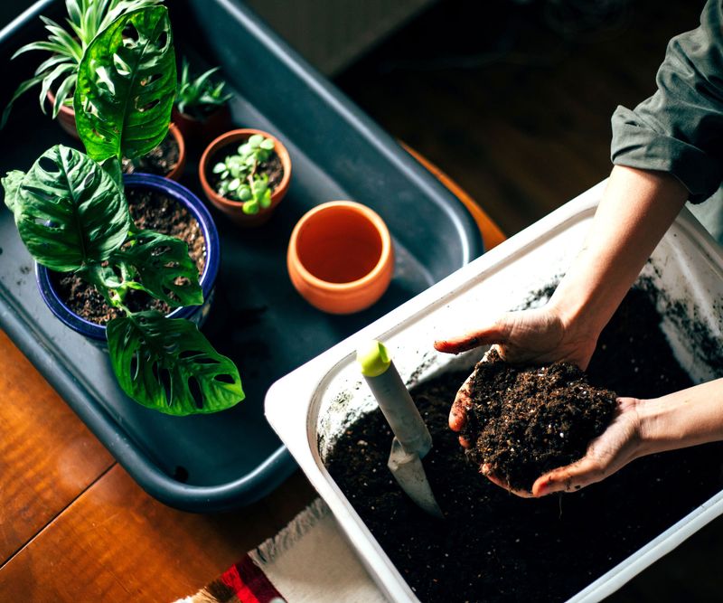 Refresh Tired Potting Soil