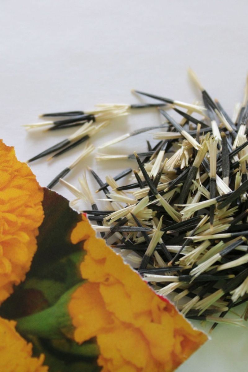 Dry and store seed safely