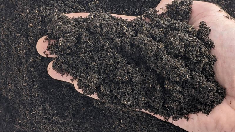 Worm Castings (Vermicompost)