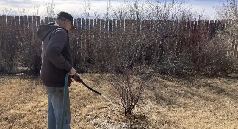 Water During Dry Winter Spells