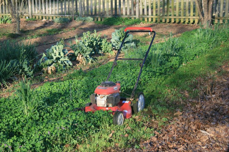 Plan when and how to terminate the crop