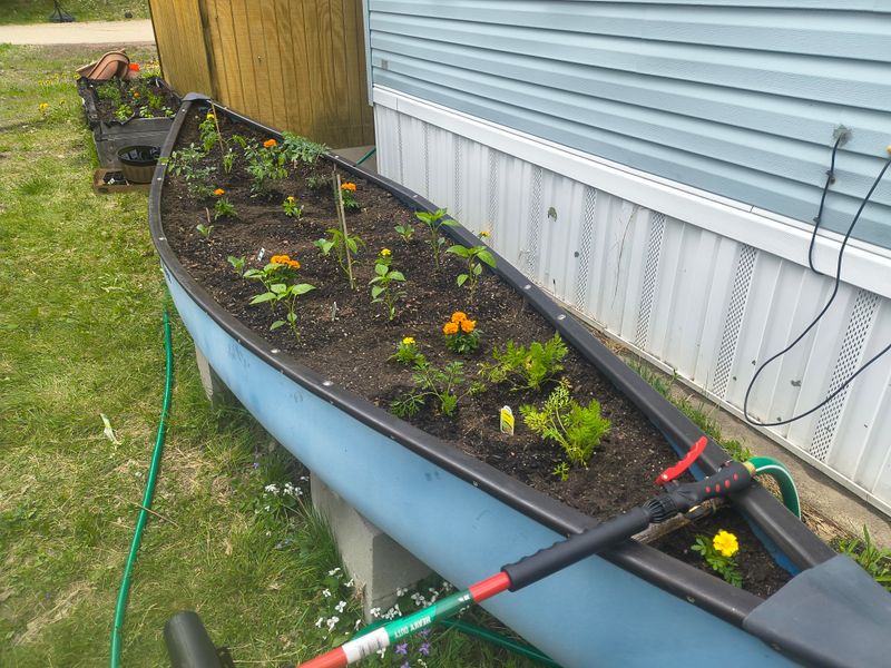 A boat planter needs a real drainage system