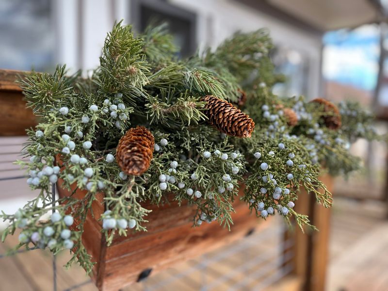 Inexpensive Foraged Elements