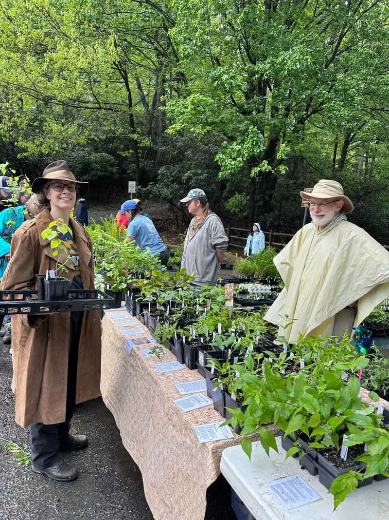 Advocacy Through the NC Native Plant Society