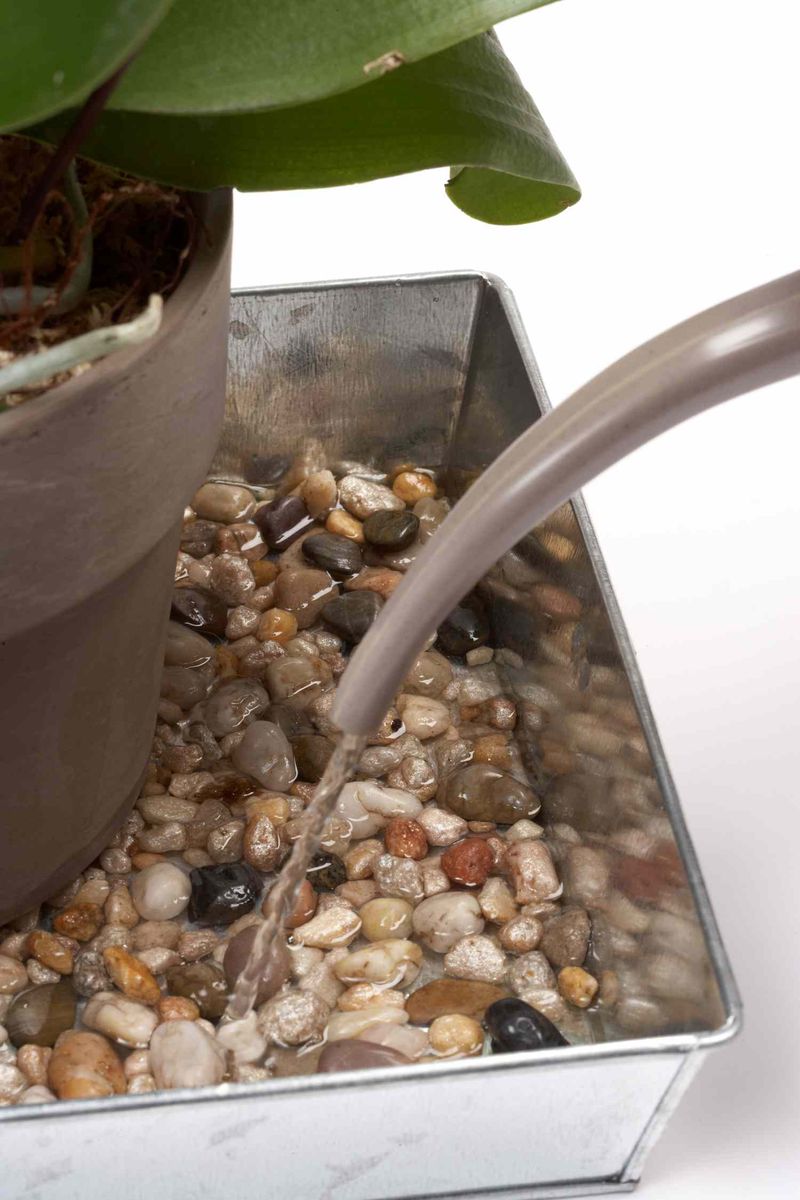Improve Humidity Levels