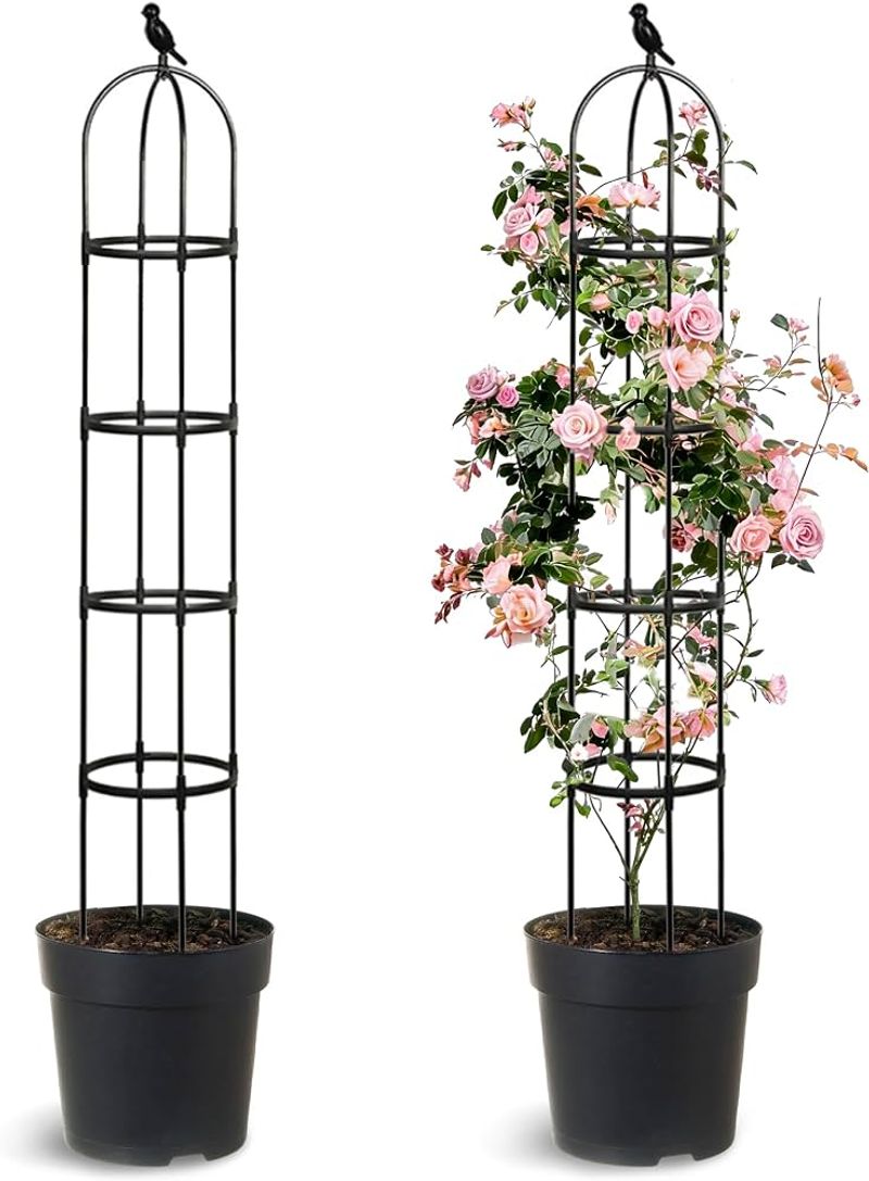 Provide a Sturdy Support Structure