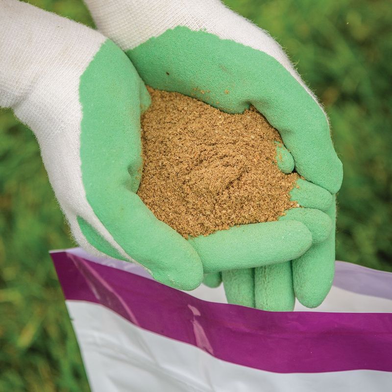 Add Phosphorus for Root Power