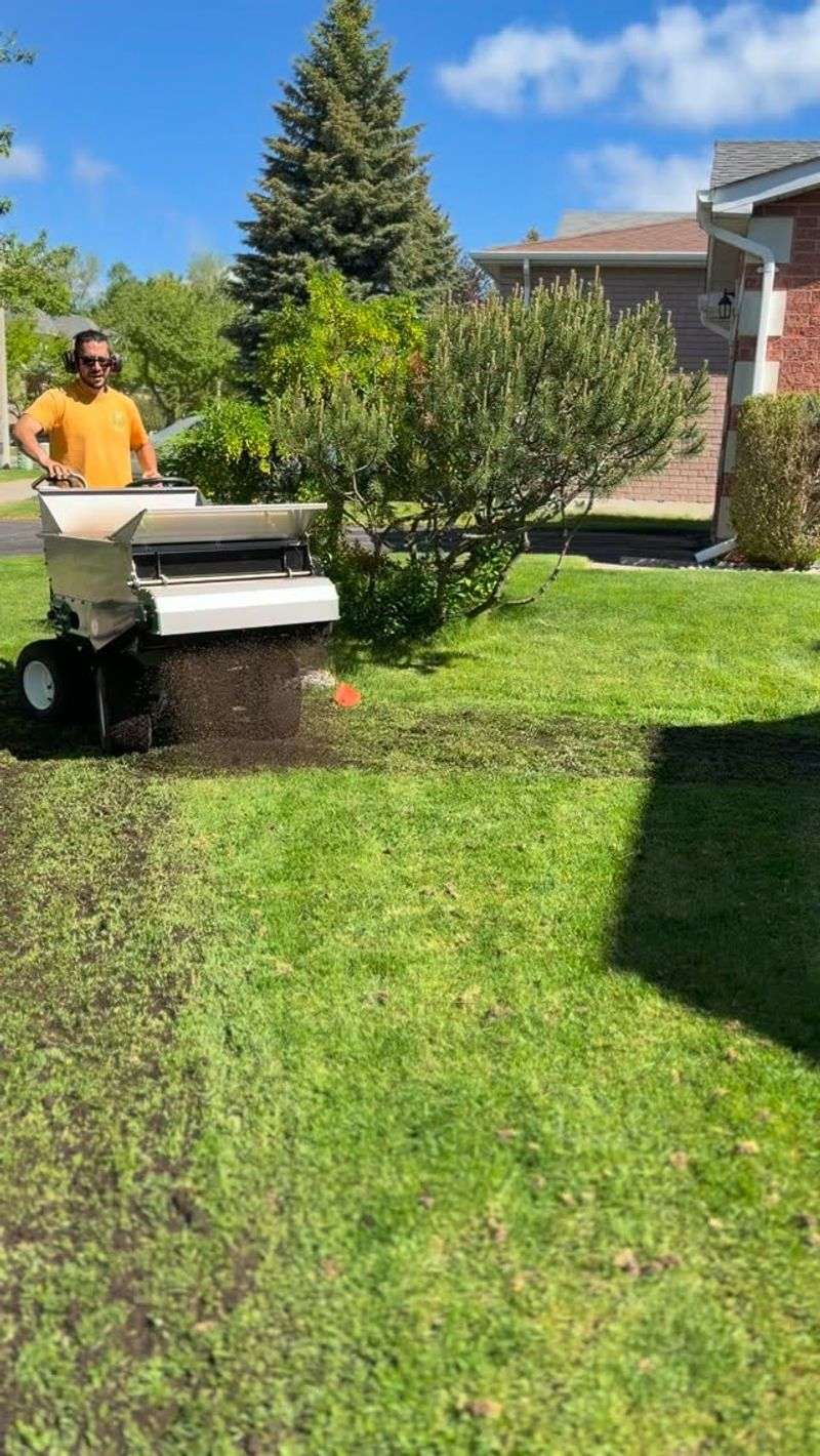 Build a realistic plan for next spring