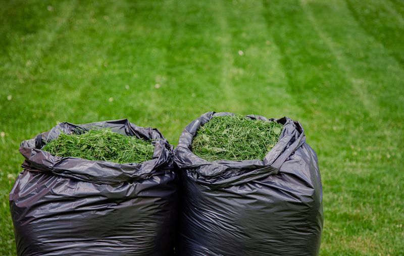Avoid mulch choices and conditions that create new problems